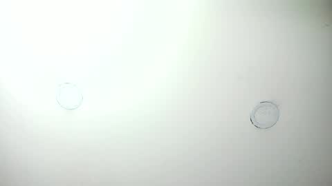 MashaPink online show from April 7, 12:51 pm