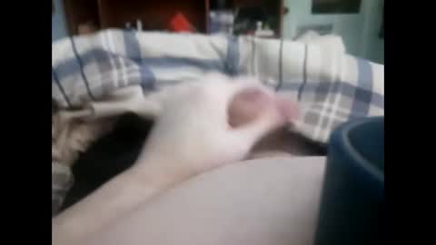 mattjeffhardyy online show from January 13, 5:10 pm