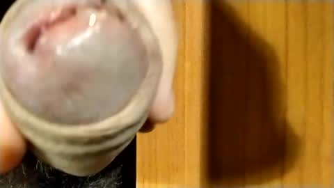 Snapshot of maxsuper422356 chatting on September 9, 6:41 pm Max online show from September 9, 6:41 pm