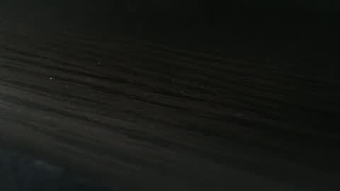 Maya online show from February 14, 10:18 am