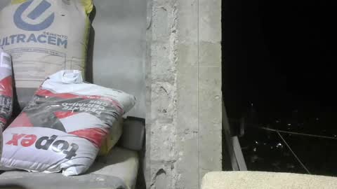 Mcgregor online show from April 4, 4:19 am