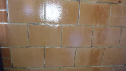 Megan and sophi online show from April 9, 8:25 pm