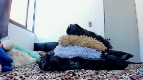 Melissa Galindo online show from October 2, 7:12 pm