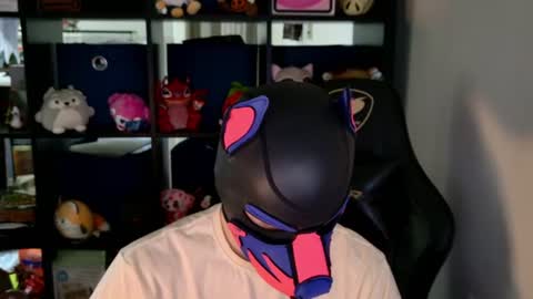 MellPUP online show from June 8, 8:32 pm