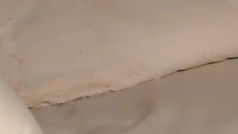 Jenny online show from November 5, 2:19 pm