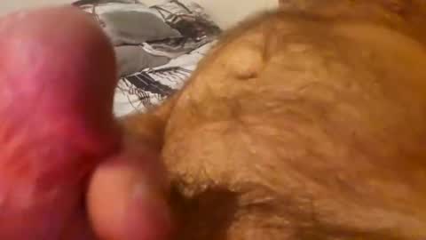 mhidupont online show from November 11, 9:33 am