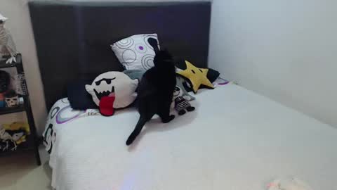 Snapshot of mia_adams_red chatting on October 4, 12:52 am mia online show from October 4, 12:52 am