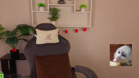 Michelle online show from February 6, 7:12 am