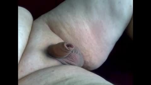 micropimmel online show from February 1, 12:02 pm