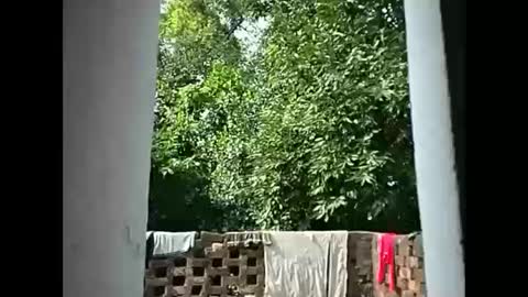 Zoya Khan online show from September 25, 3:35 am