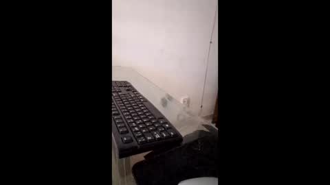 Avamlash online show from February 9, 9:28 pm