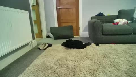 misterycouple12 online show from December 27, 4:04 am