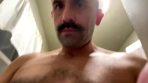 mistymorning81 online show from August 3, 12:34 am