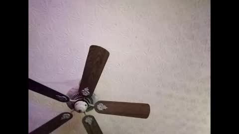 BobbyMitchGa online show from January 4, 6:41 am