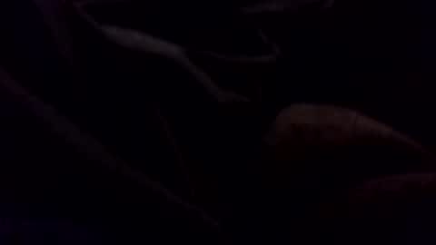 mitel136913 online show from April 23, 10:56 am