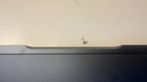 mmiamm69 online show from February 15, 10:19 pm