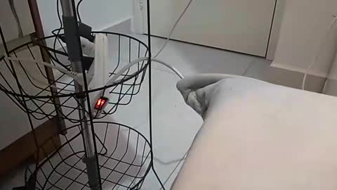 moana_pozzy online show from January 19, 3:27 am