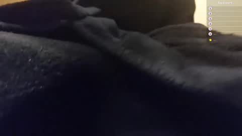 Moonsire online show from January 26, 6:28 am