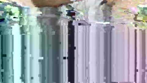 Me online show from February 22, 9:28 pm