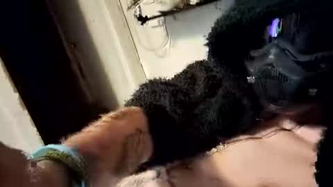 Snapshot of morningstar30977 chatting on November 1, 7:29 am morningstar30977 online show from November 1, 7:29 am