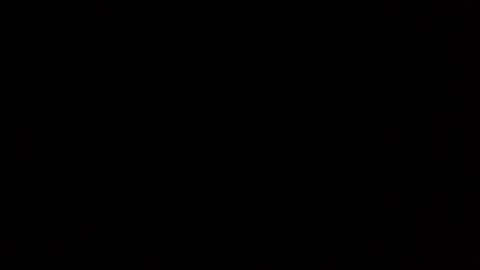 Nomadu online show from February 27, 7:08 am