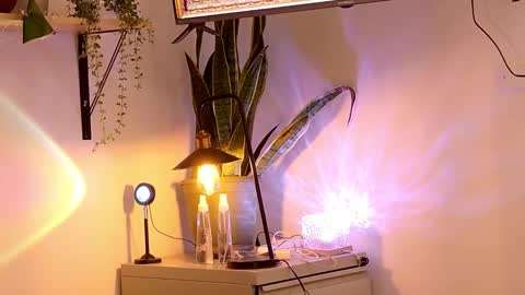 Mr Evans online show from January 15, 6:28 pm