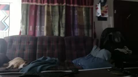 mr_happy12 online show from October 19, 12:15 am