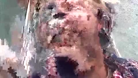 Snapshot of mr_i_ chatting on September 19, 10:41 am mr_i_ online show from September 19, 10:41 am