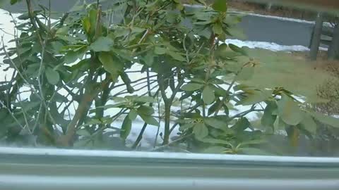 mrbrigggs online show from January 14, 12:13 pm