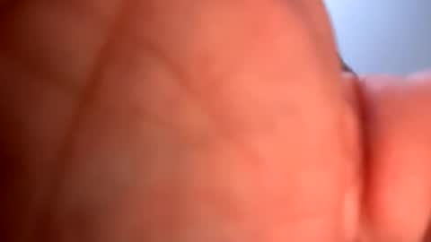 mrfrankfuckforfree online show from January 19, 5:26 am