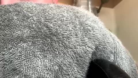 mrgetemoffme online show from September 9, 2:28 pm