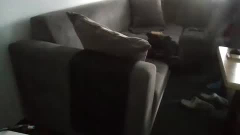 Nikola online show from January 5, 8:54 am