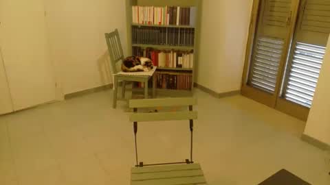 mrkurt86 online show from November 19, 1:54 pm