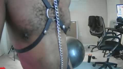 Longbi1 online show from April 16, 3:56 pm