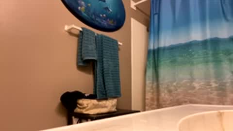 James online show from February 3, 1:57 am