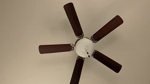 mrorange50187 online show from January 8, 5:48 pm