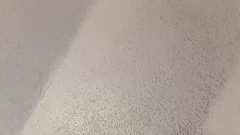 melissa online show from February 23, 6:21 pm