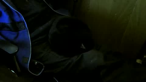 muller520 online show from February 17, 5:56 pm