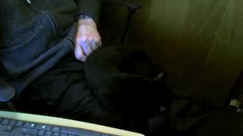 muller520 online show from March 7, 4:18 pm