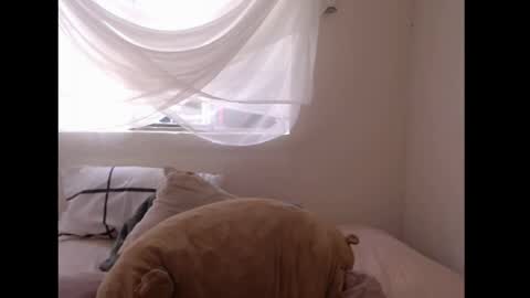   online show from April 6, 6:42 pm