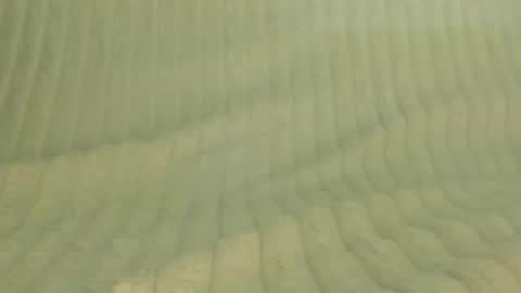 murrrmuah online show from February 14, 8:33 pm