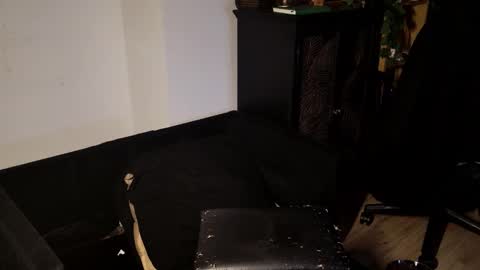 Musculus online show from February 28, 2:54 pm