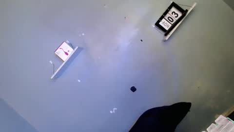 jasmine online show from November 3, 1:23 pm