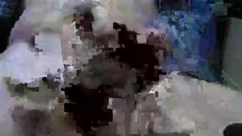 mycock594498 online show from January 9, 3:12 pm