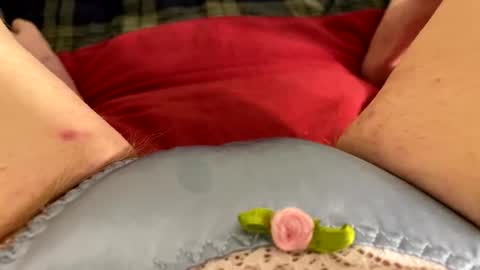 Kitty online show from April 2, 11:17 am