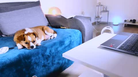 Anda online show from March 7, 1:20 am