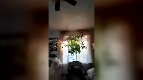 Naked stripper. 69. online show from July 12, 2:48 am