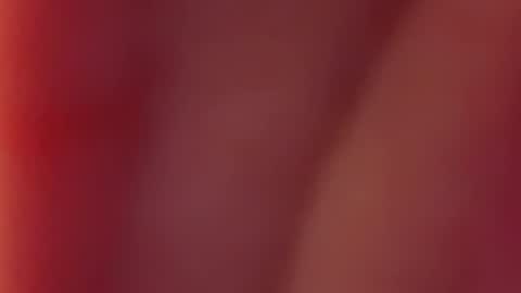 Snapshot of nancy_witch chatting on December 12, 7:52 am Nancy and Archi online show from December 12, 7:52 am