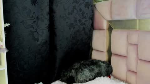 Nat  online show from December 27, 7:08 am