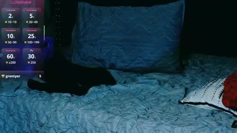 Gwen  online show from November 12, 7:38 pm